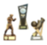 resins cover_edited.jpg